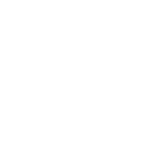 Family Finding Icon
