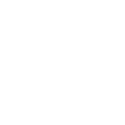 Training Icon