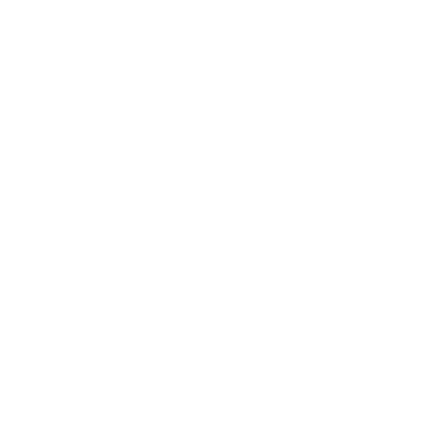 Support Icon