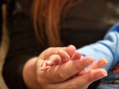 multi cultural adoption as a single adopter