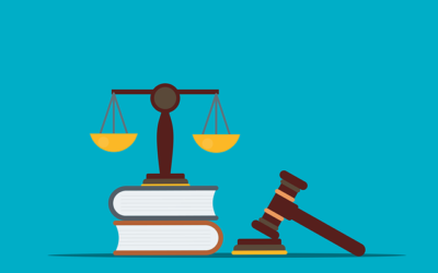 Public Law Working Group report on adoption released – November 2024